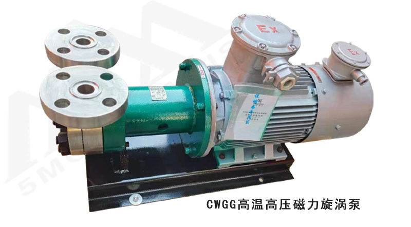 CWGG高温高压磁力旋涡泵